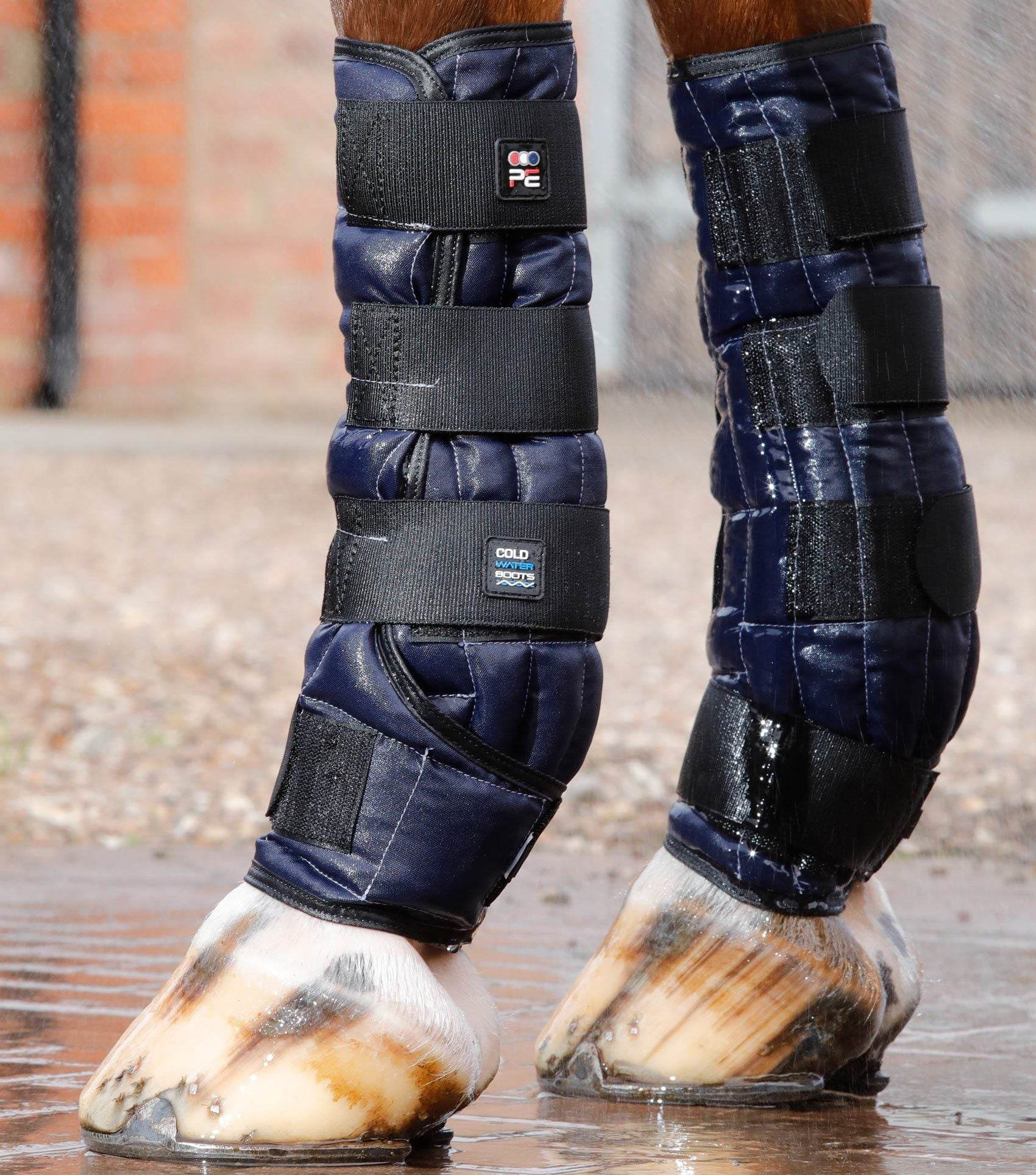 Premier Equine Cold Water Boots - N P Equestrian & Pet Supplies Ltd 
