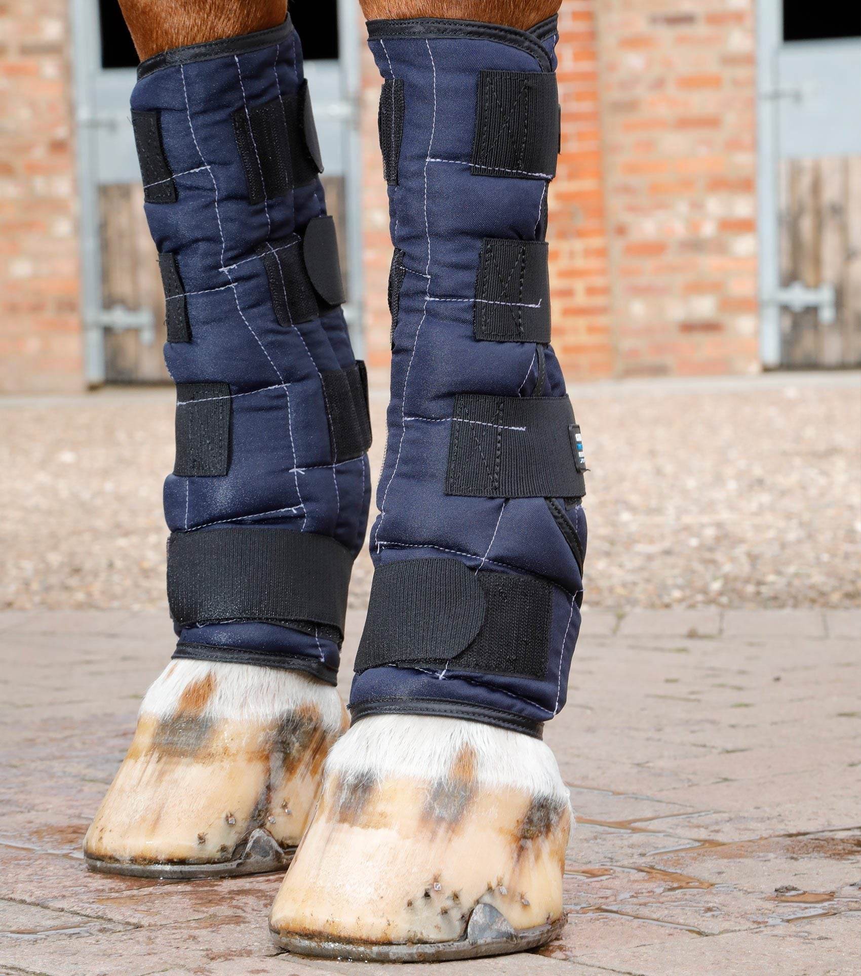 Premier Equine Cold Water Boots - N P Equestrian & Pet Supplies Ltd 