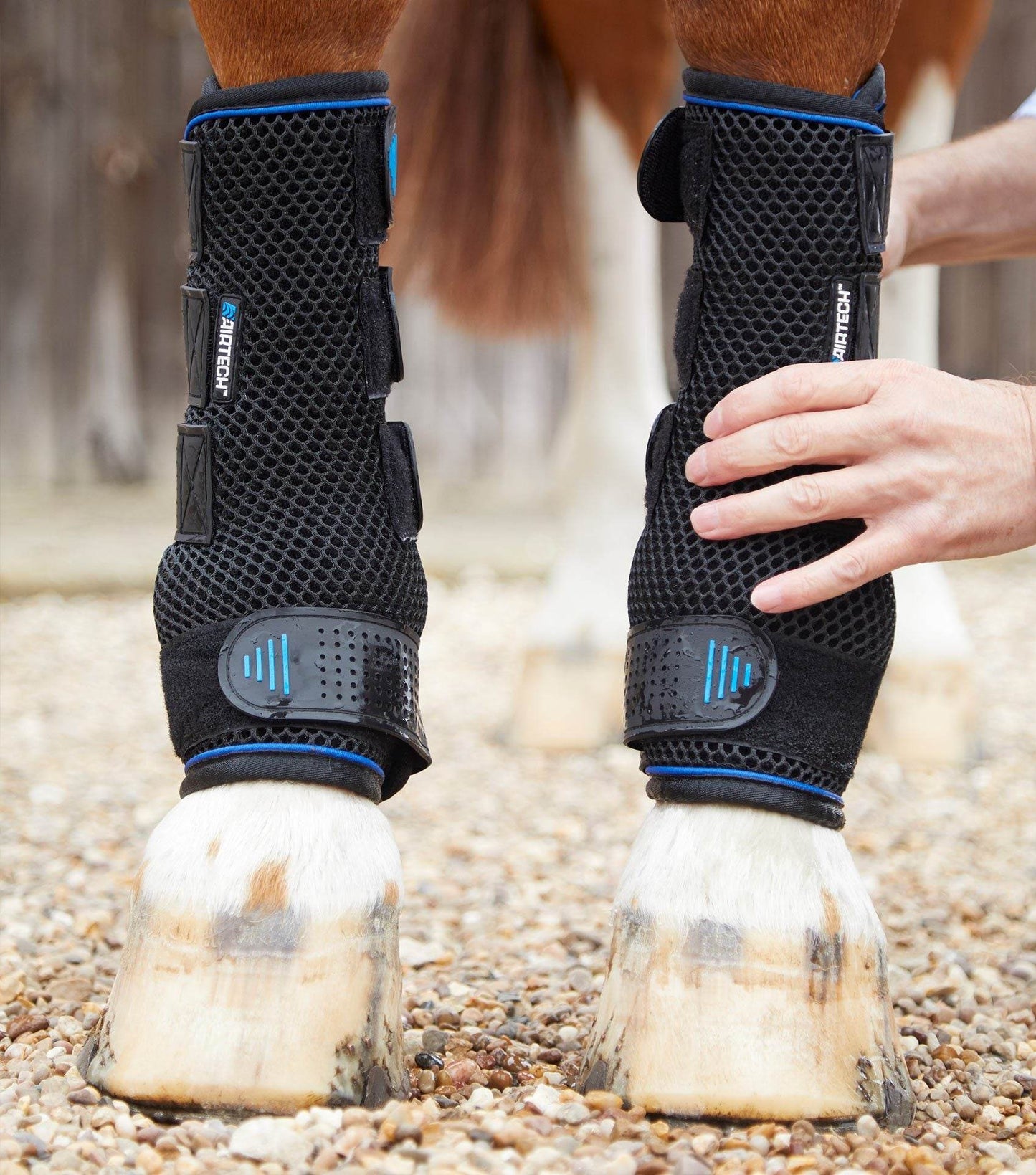 Premier Equine Cold Water Compression Boots - N P Equestrian & Pet Supplies Ltd 