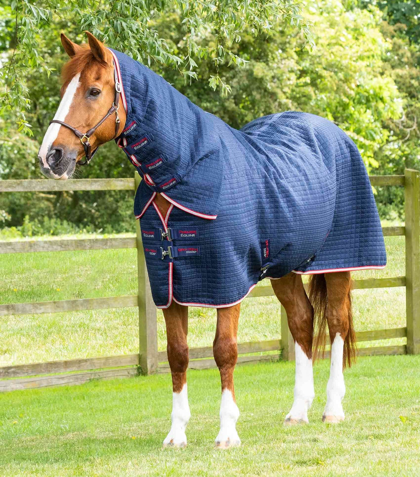 Premier Equine Combo Dry-Tech Horse Cooler Rug - N P Equestrian & Pet Supplies Ltd 