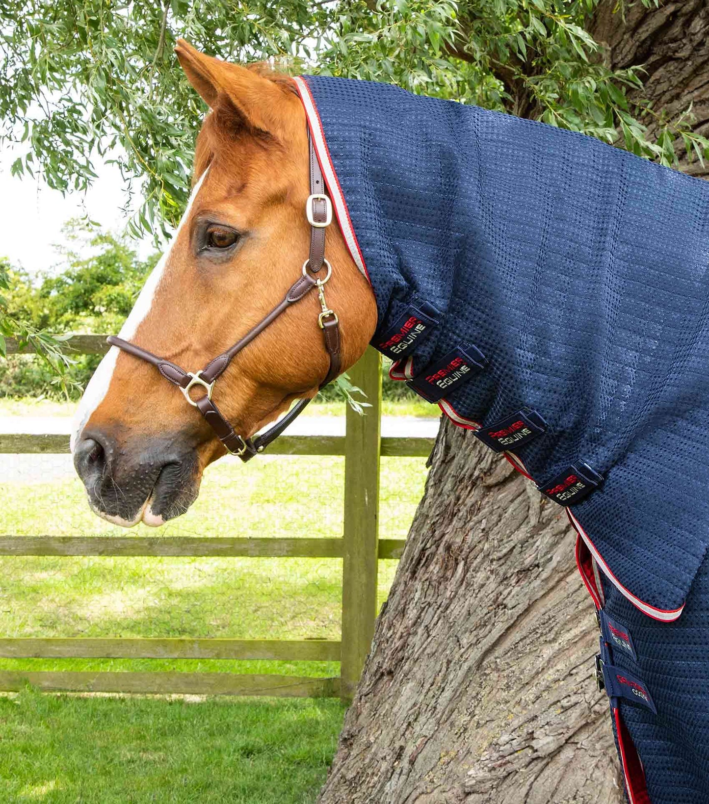 Premier Equine Combo Dry-Tech Horse Cooler Rug - N P Equestrian & Pet Supplies Ltd 