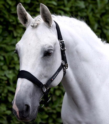 Premier Equine Corda Padded Head Collar with Lead Rope - Black
