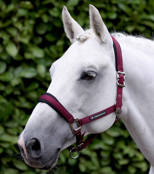 Premier Equine Corda Padded Head Collar with Lead Rope - Burgundy