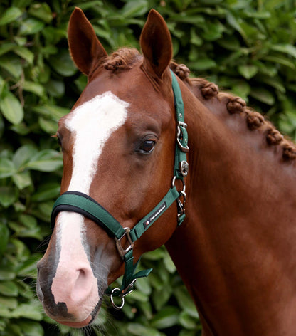 Premier Equine Corda Padded Head Collar with Lead Rope - Green