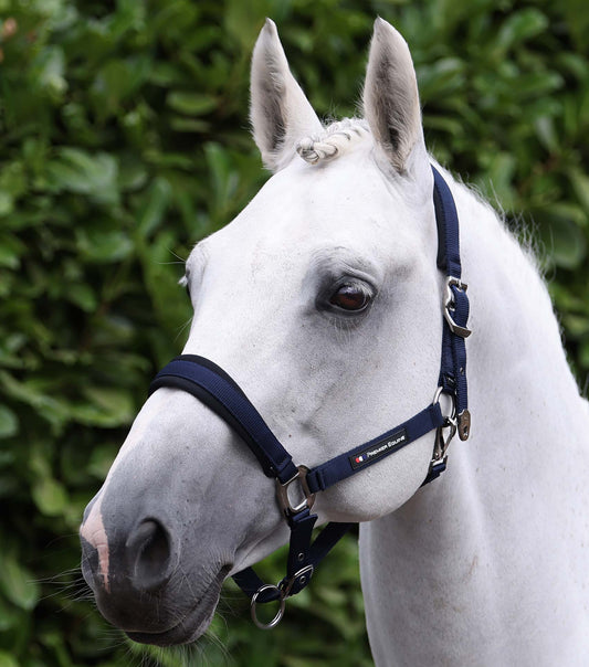 Premier Equine Corda Padded Head Collar with Lead Rope - Navy