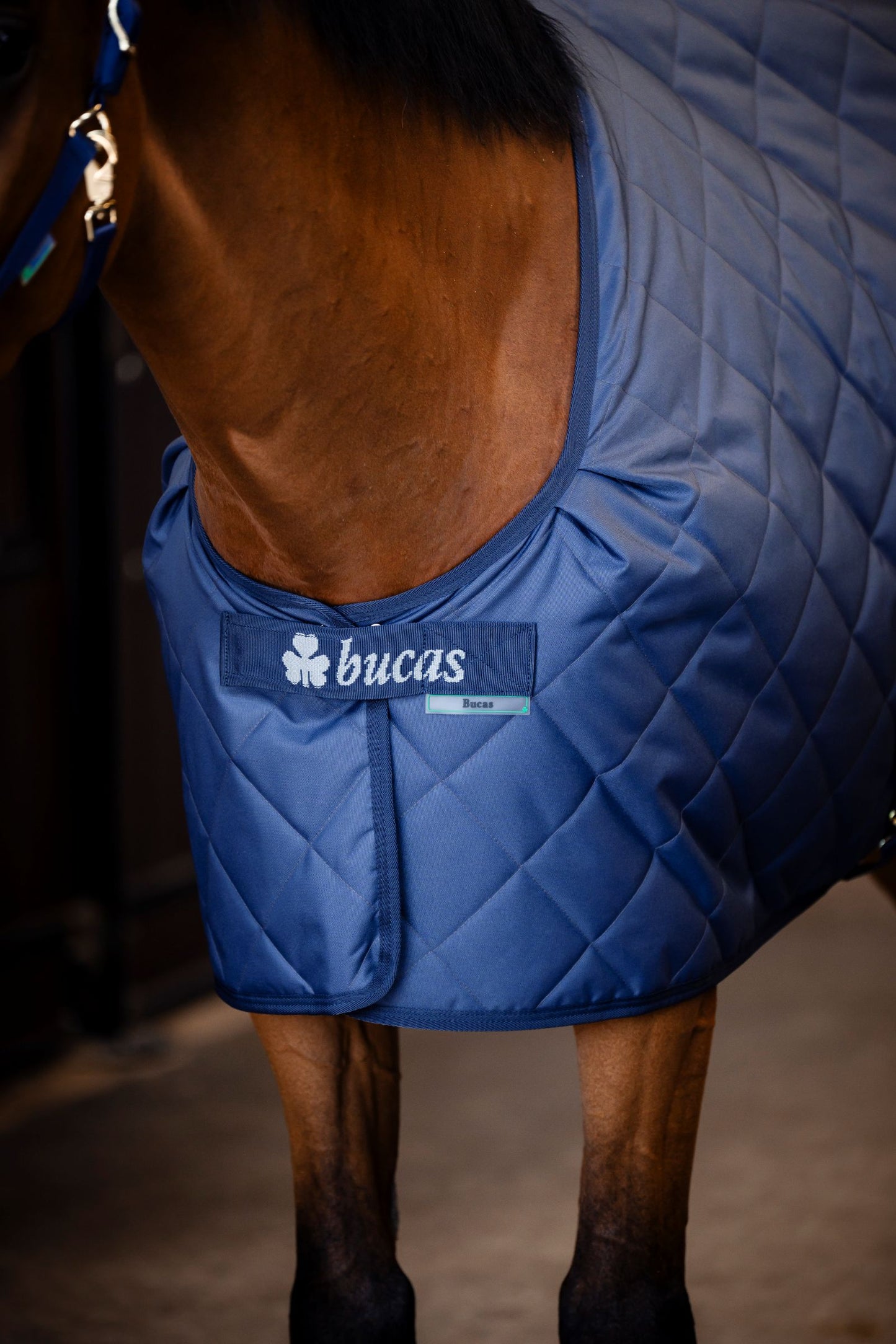 Bucas Cosy Stable Rug