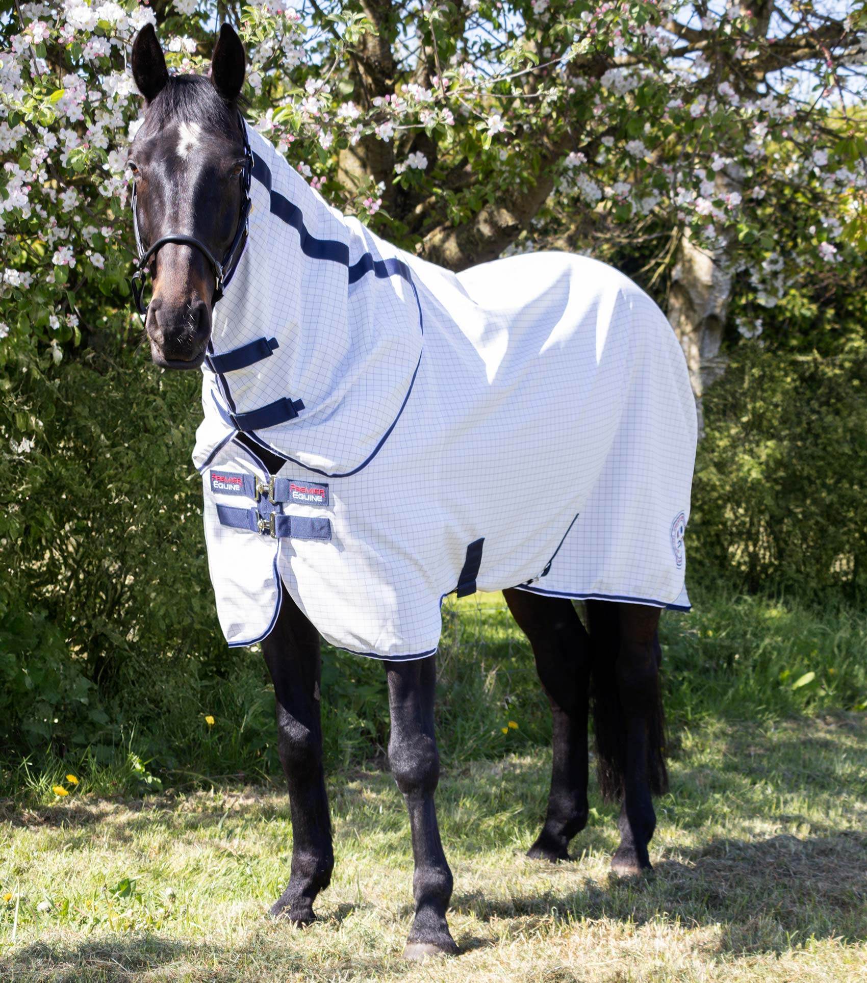 Premier Equine Cotone Stable Sheet with Neck Cover - N P Equestrian & Pet Supplies Ltd 