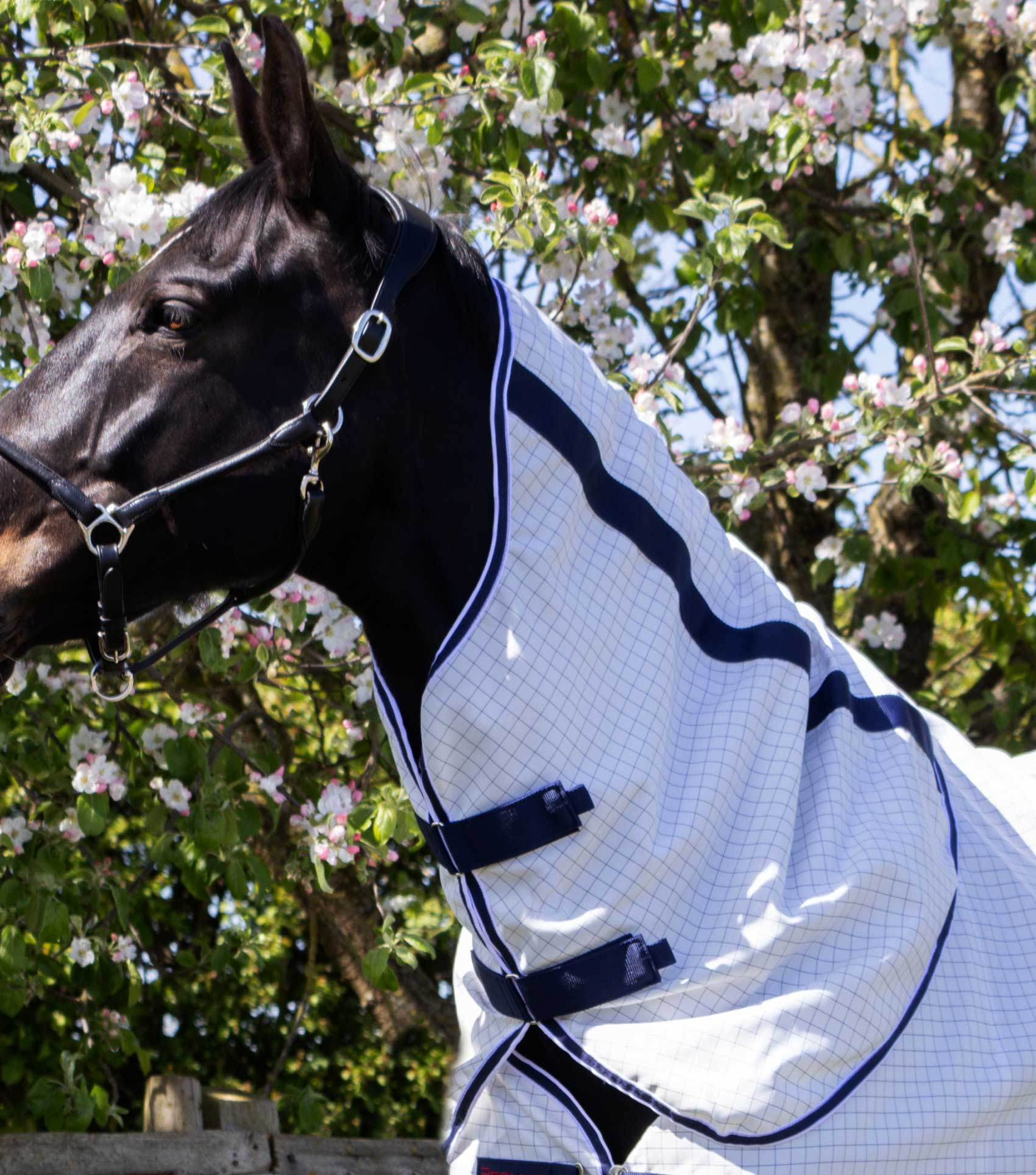 Premier Equine Cotone Stable Sheet with Neck Cover - N P Equestrian & Pet Supplies Ltd 