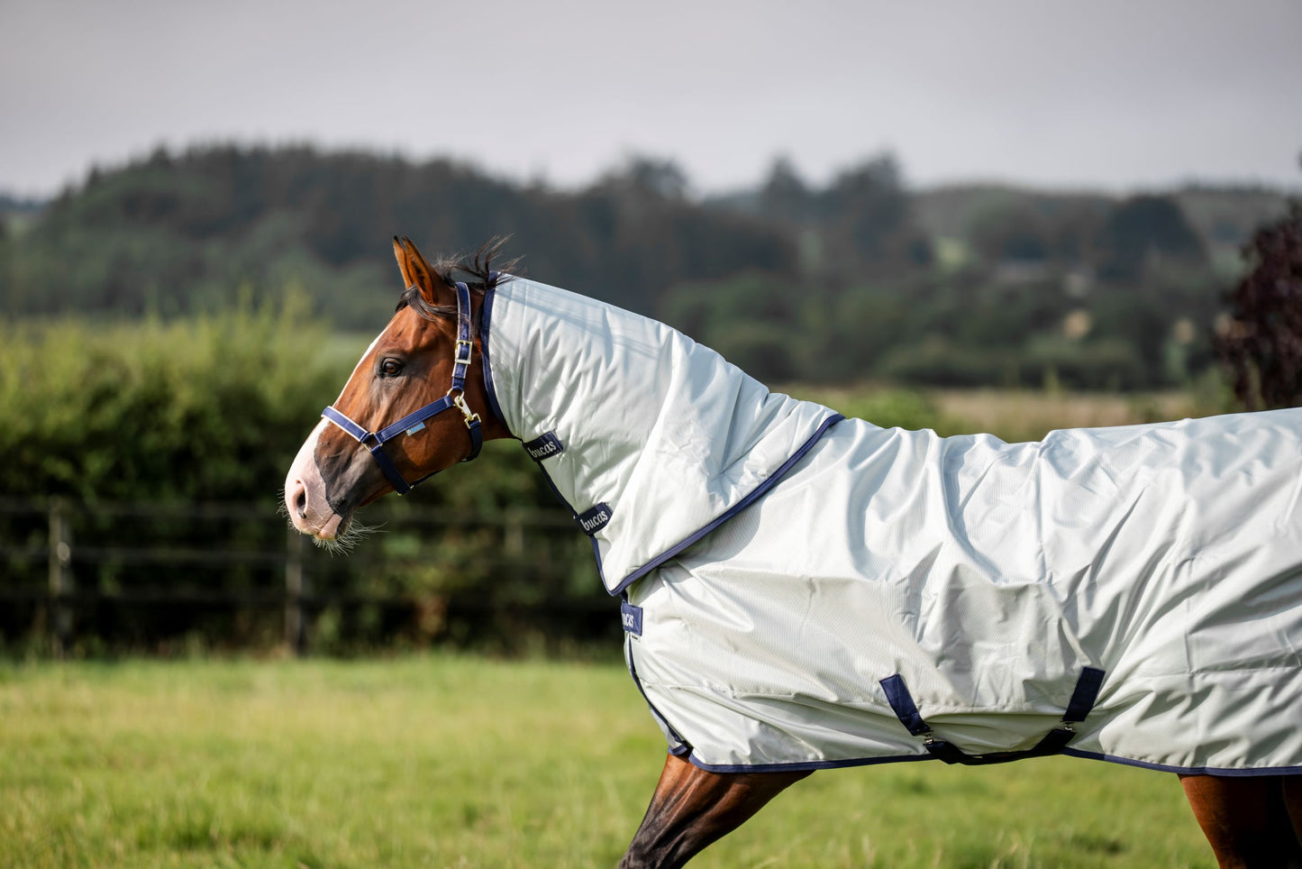 Bucas Power Combi 0g Turnout Neck Cover - Silver