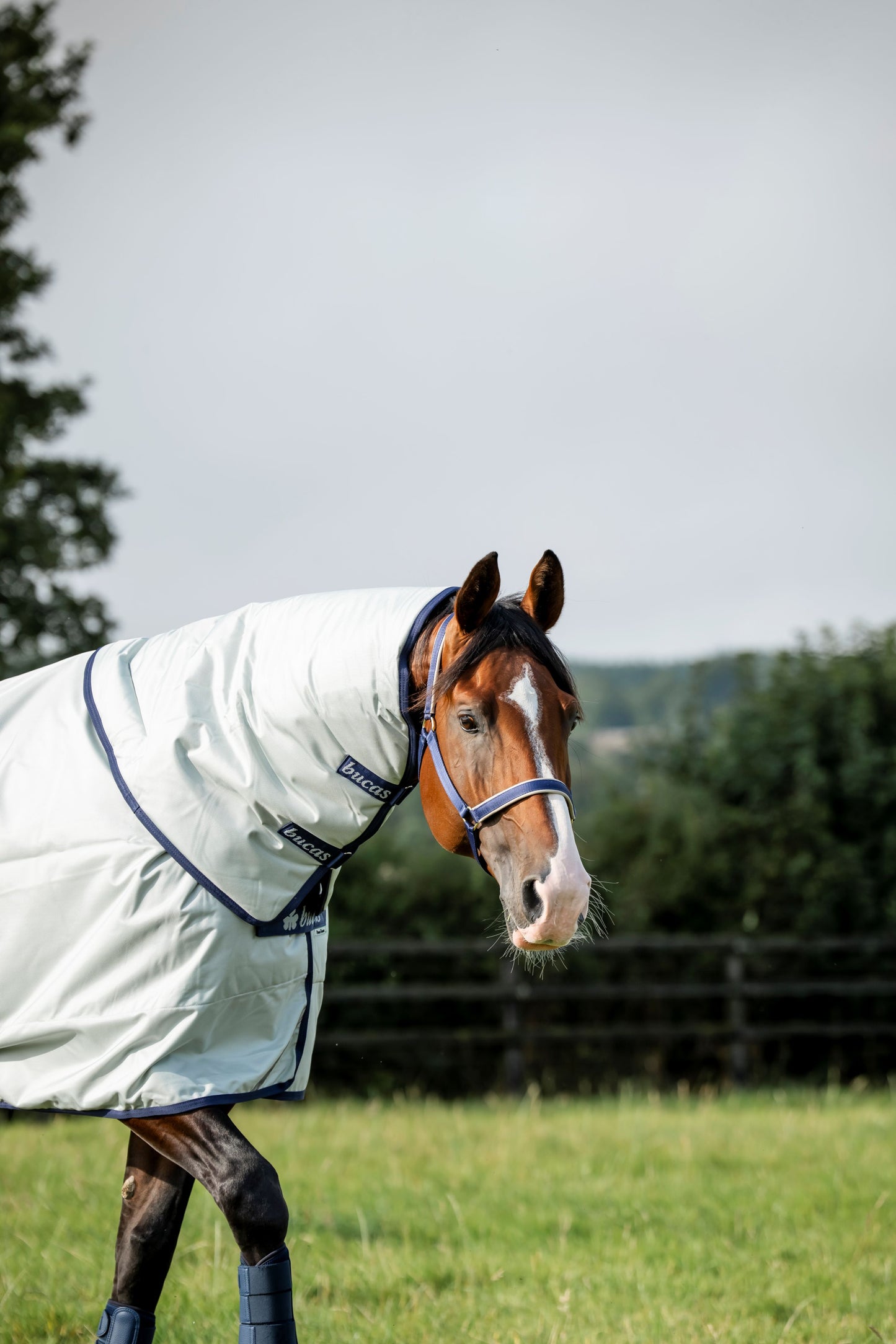 Bucas Power Combi 0g Turnout Neck Cover - Silver
