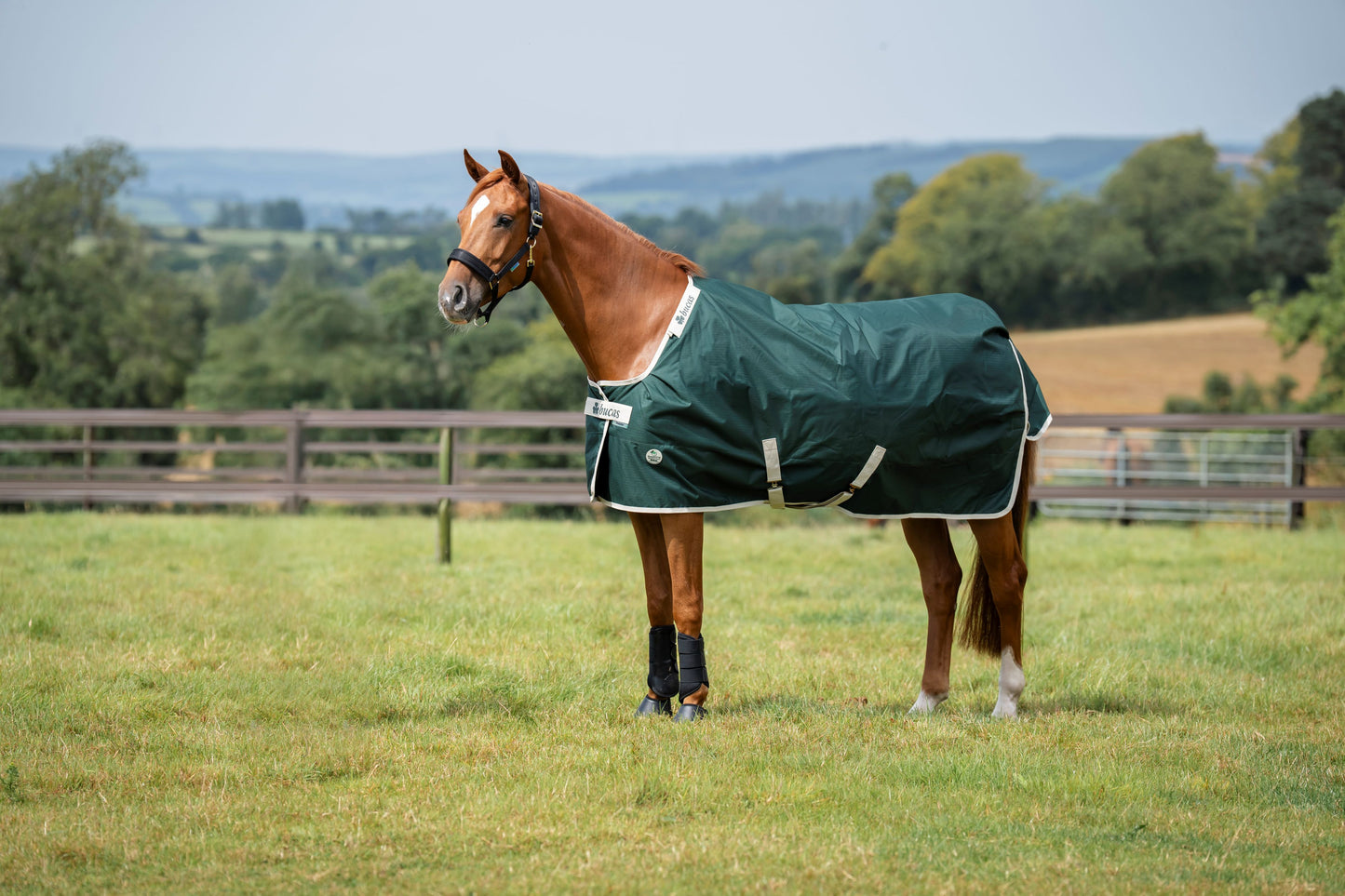 Bucas Greenline 100g Standard Neck Turnout Rug - Green/Cream