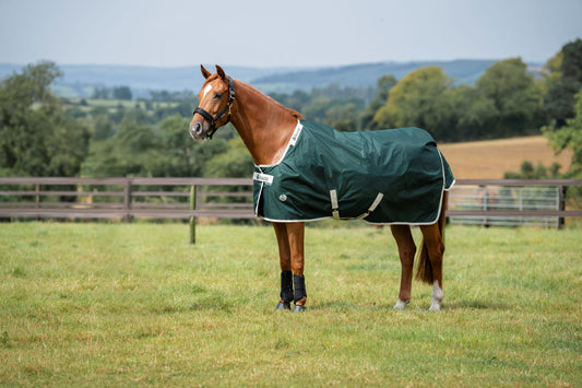 Bucas Greenline 100g Standard Neck Turnout Rug - Green/Cream