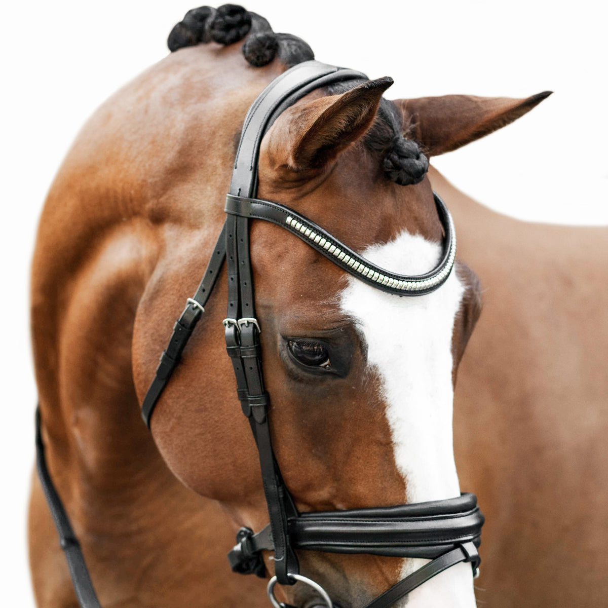 Lumiere Equestrian Melodie Anatomical Snaffle Bridle