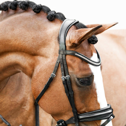 Lumiere Equestrian Melodie Anatomical Snaffle Bridle