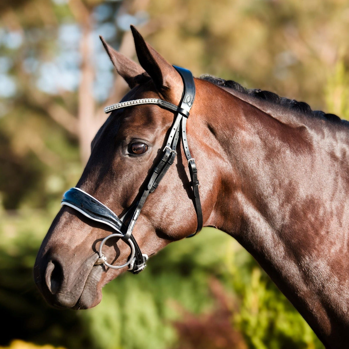 Lumiere Equestrian Adeline Snaffle Bridle With Cavesson Noseband