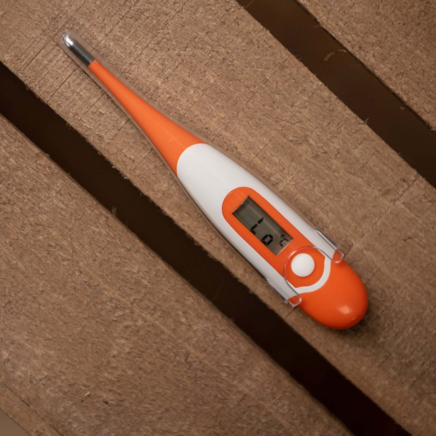 Smart Grooming Digital Thermometer