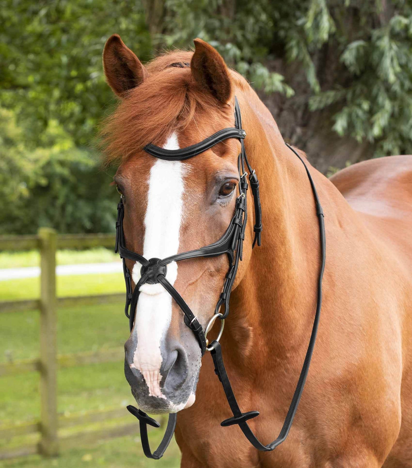 Premier Equine Diego Rubber Reins - N P Equestrian & Pet Supplies Ltd 