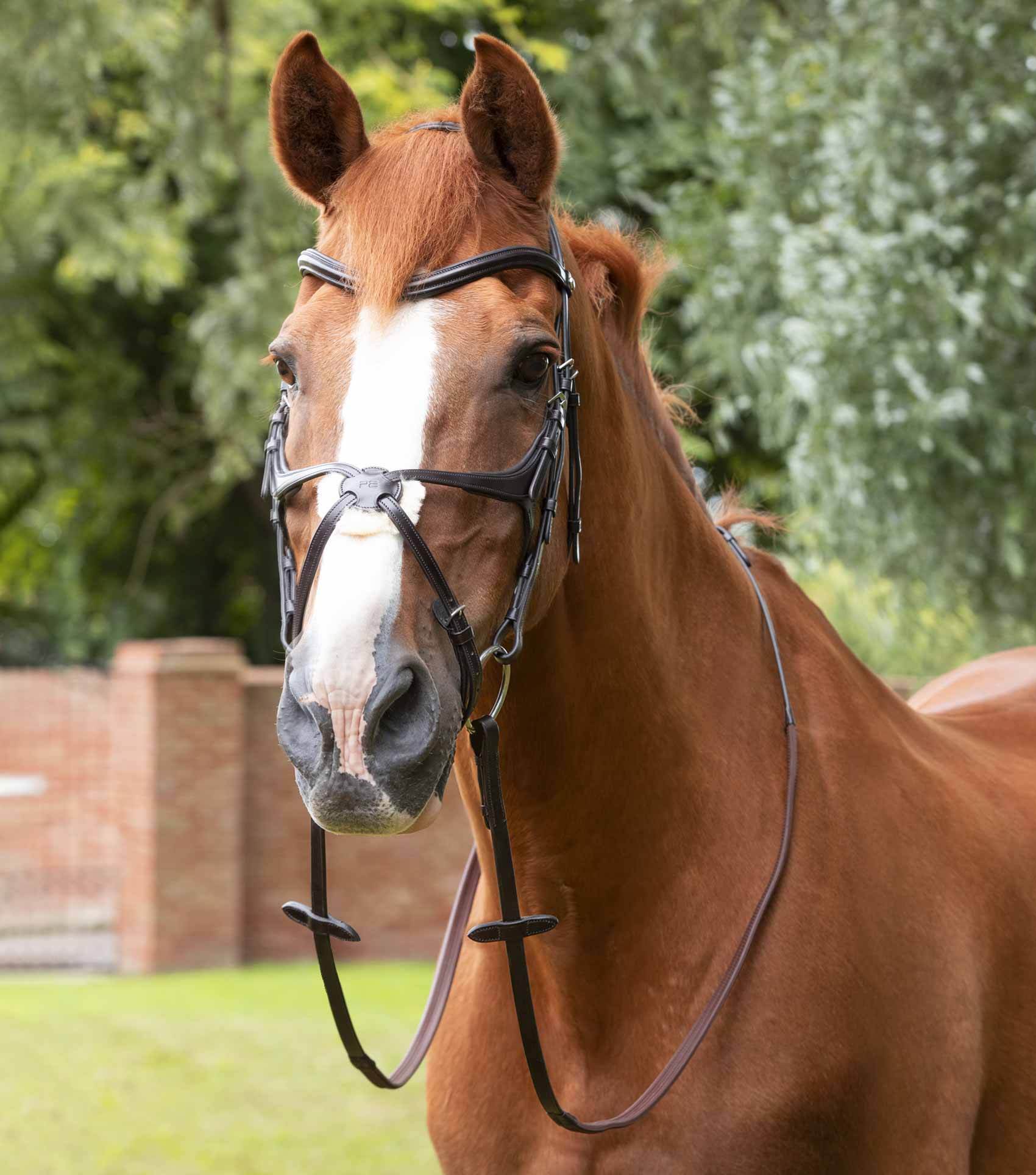 Premier Equine Diego Rubber Reins - N P Equestrian & Pet Supplies Ltd 