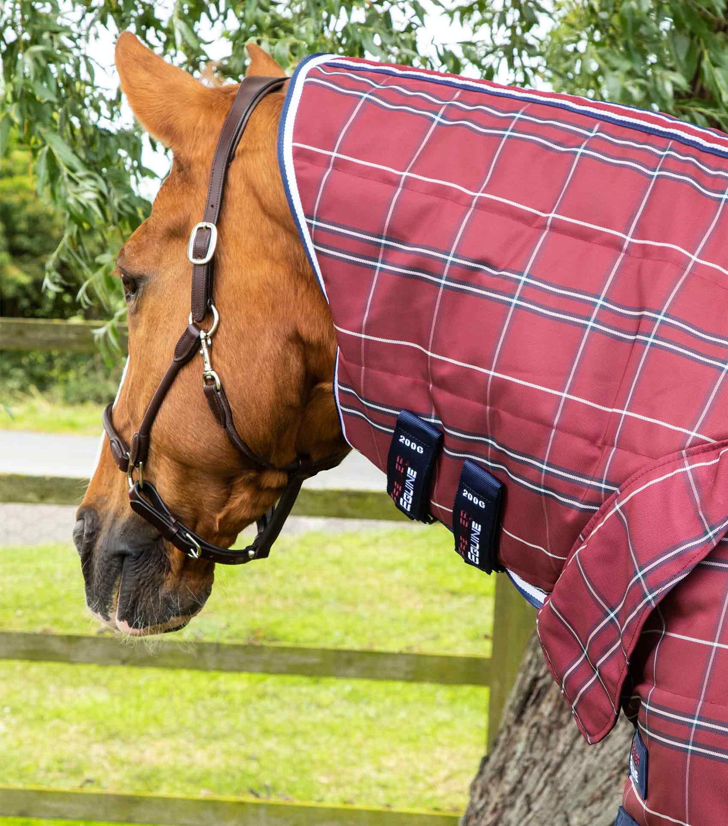Premier Equine Domus 200g Combo Stable Rug Burgundy Check - N P Equestrian & Pet Supplies Ltd