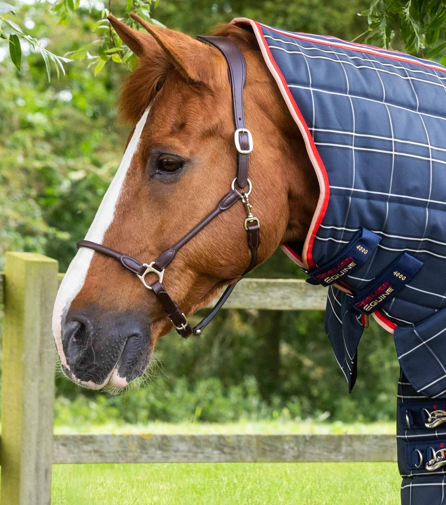 Premier Equine Domus 400g Combo Stable Rug Navy Check - N P Equestrian & Pet Supplies Ltd 