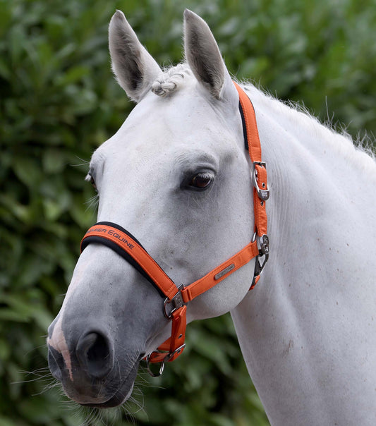 Premier Equine Duco Padded Head Collar with Lead Rope - Orange