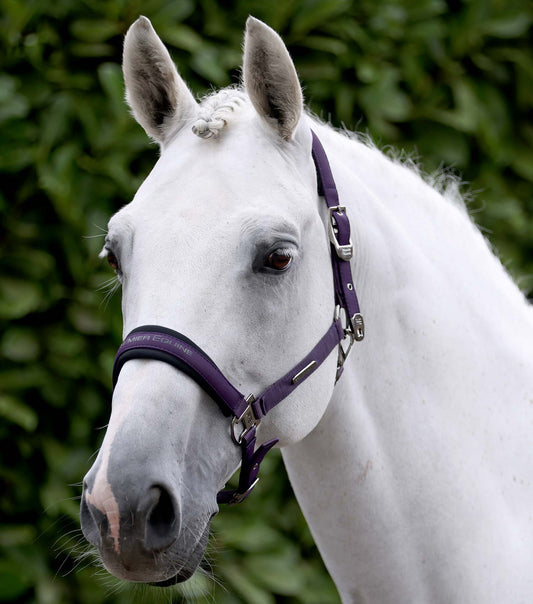 Premier Equine Duco Padded Head Collar with Lead Rope - Grape
