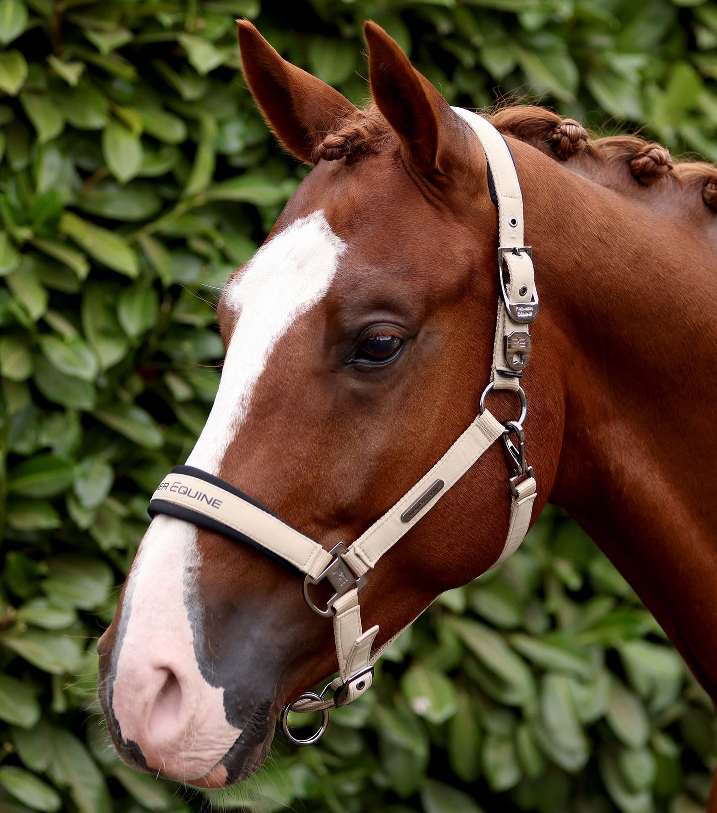 Premier Equine Duco Padded Head Collar with Lead Rope - Taupe