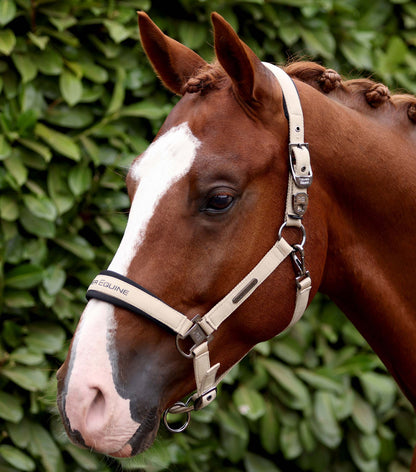 Premier Equine Duco Padded Head Collar with Lead Rope - Taupe