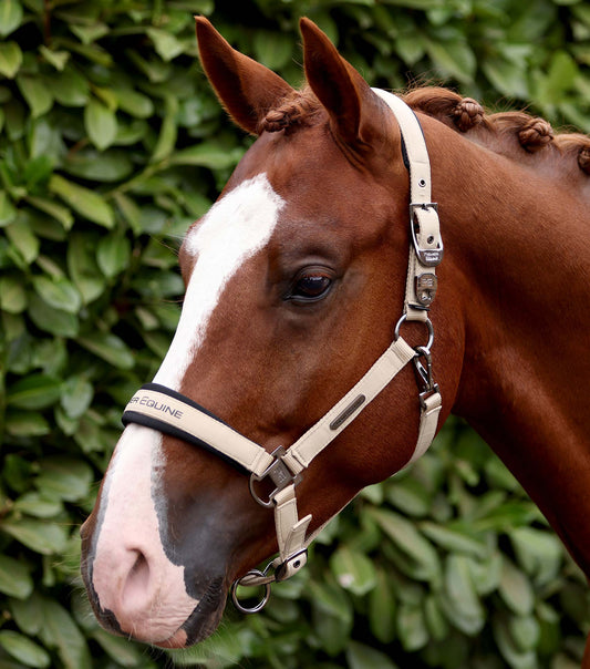 Premier Equine Duco Padded Head Collar with Lead Rope - Taupe