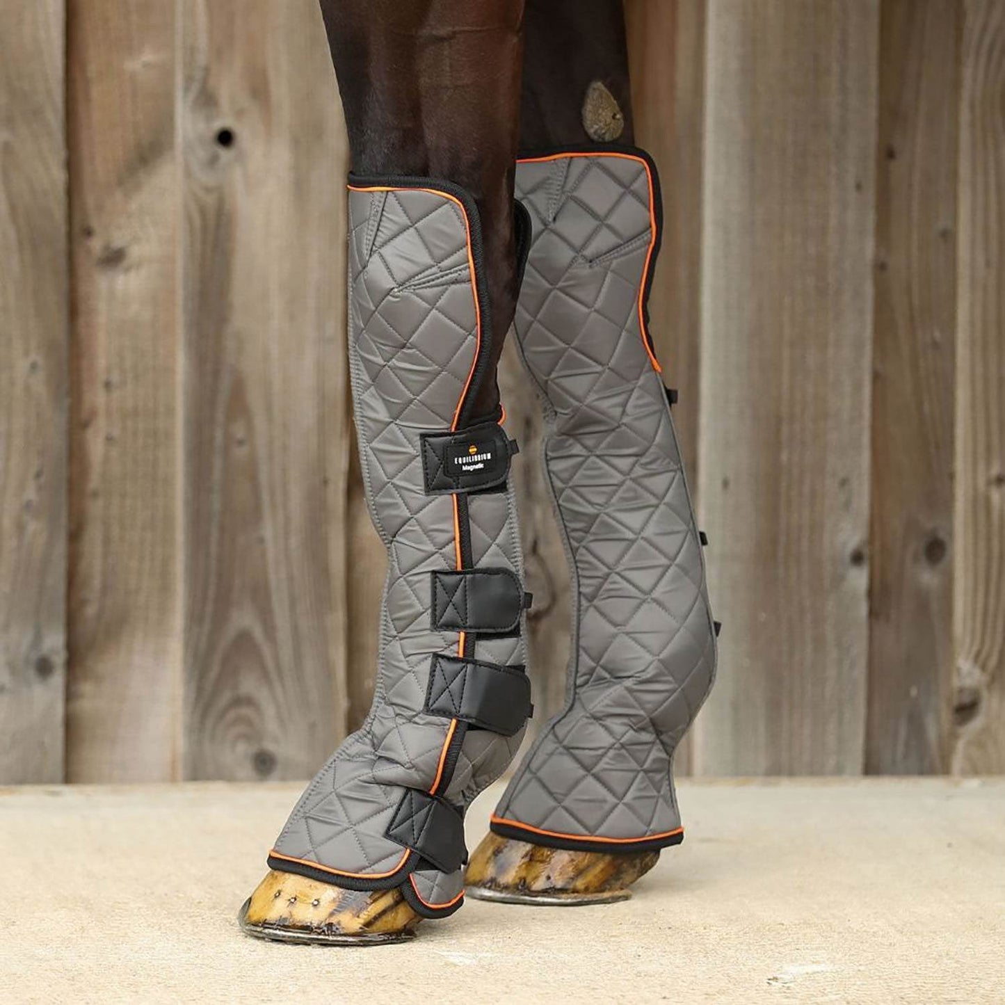 Equilibrium Fore & Knee Magnetic Chaps - N P Equestrian & Pet Supplies Ltd 