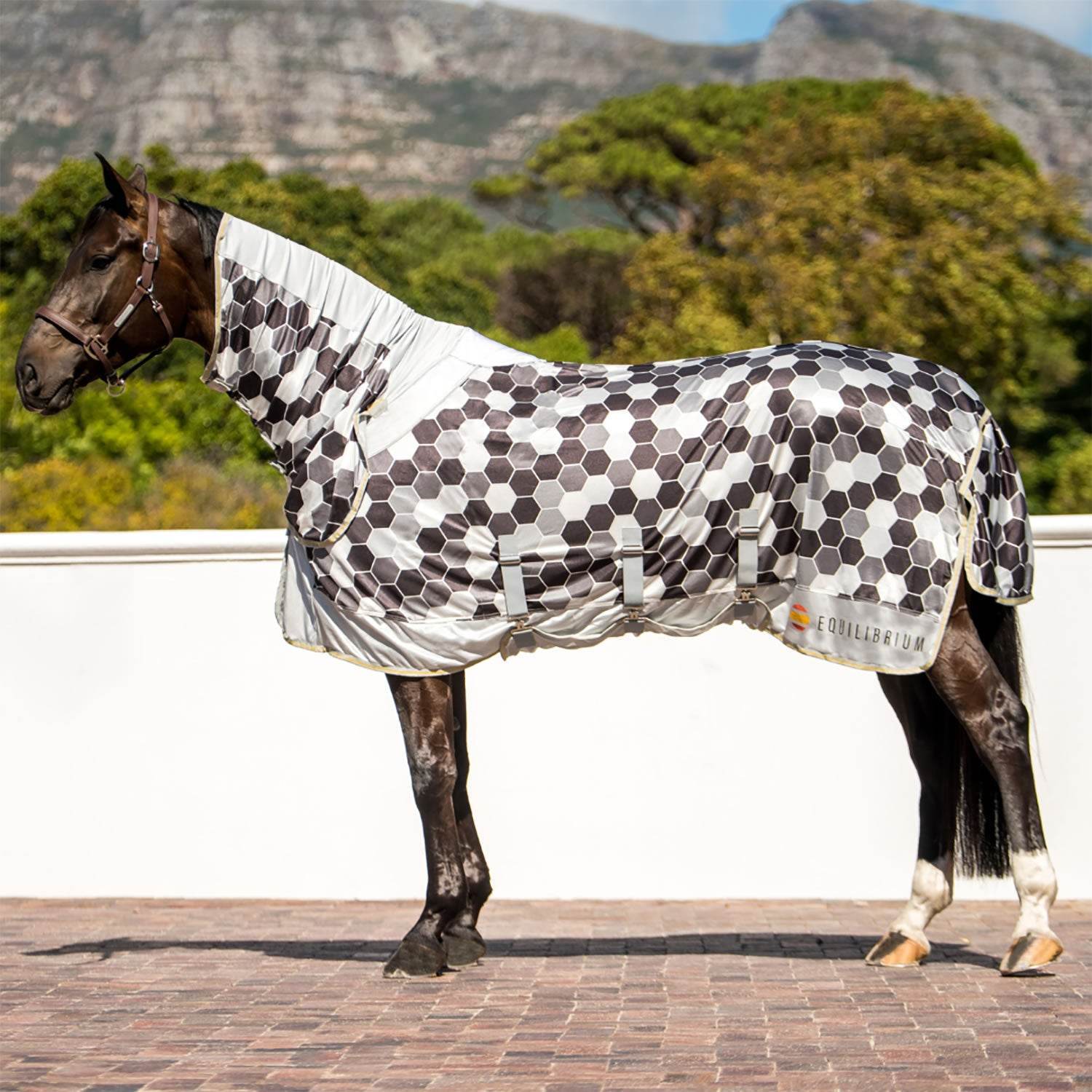 Equilibrium Field Relief Fly Rug - N P Equestrian & Pet Supplies Ltd 