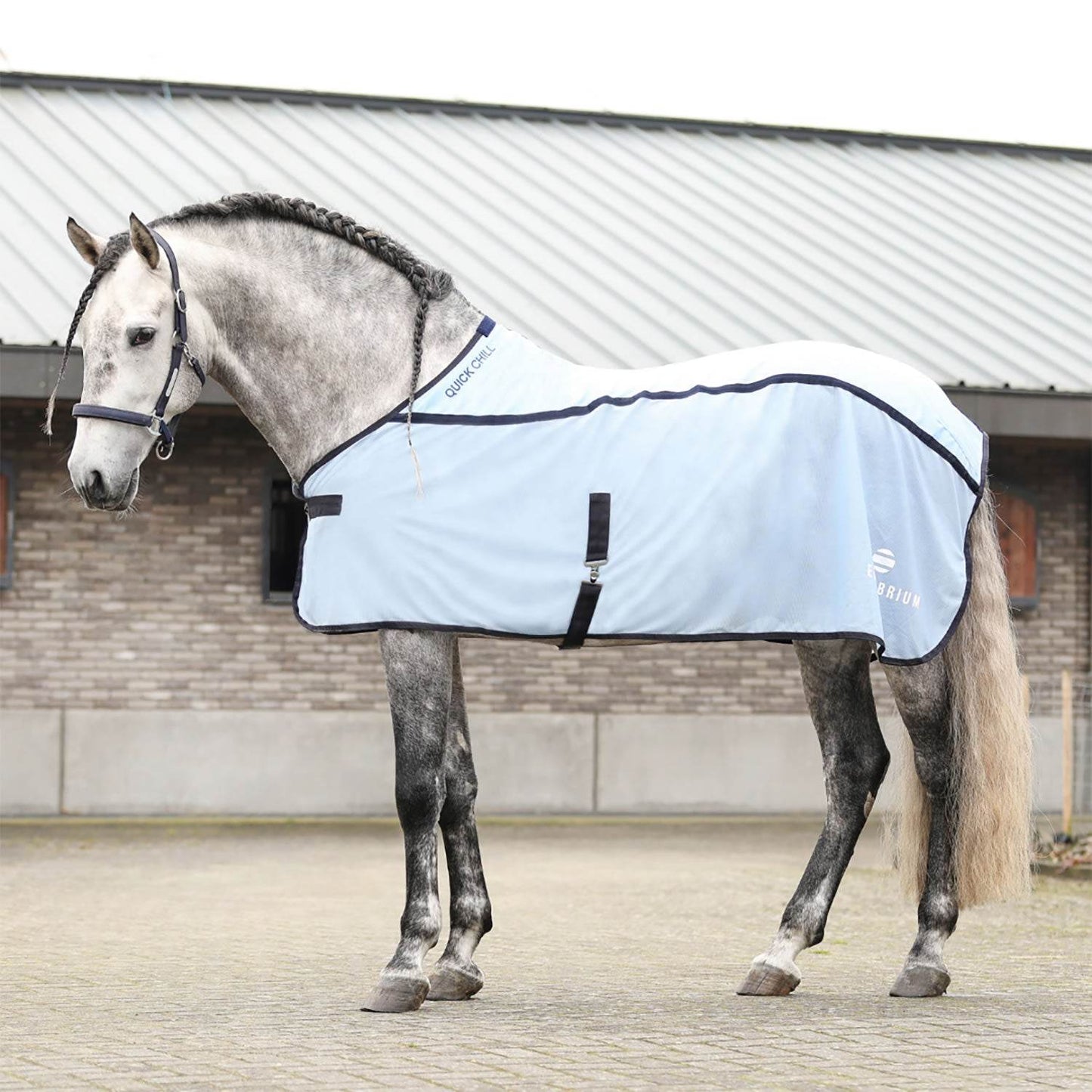 Equilibrium Quick Chill Cool Rug - N P Equestrian & Pet Supplies Ltd 