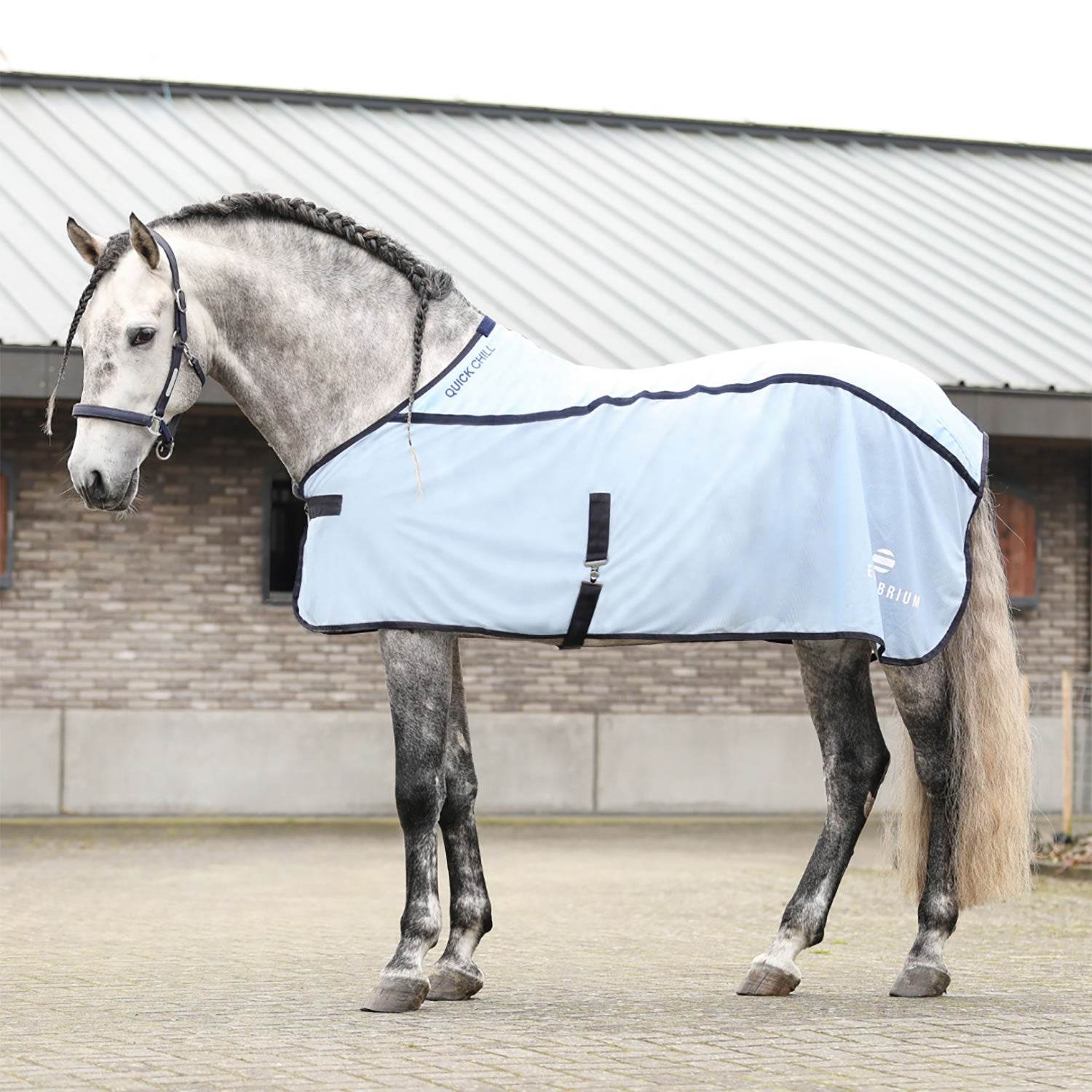 Equilibrium Quick Chill Cool Rug - N P Equestrian & Pet Supplies Ltd 