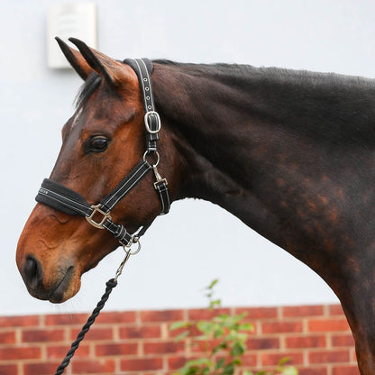 Equilibrium Stellar Style Headcollar - N P Equestrian & Pet Supplies Ltd 