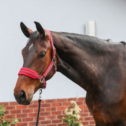 Equilibrium Stellar Style Headcollar - N P Equestrian & Pet Supplies Ltd 