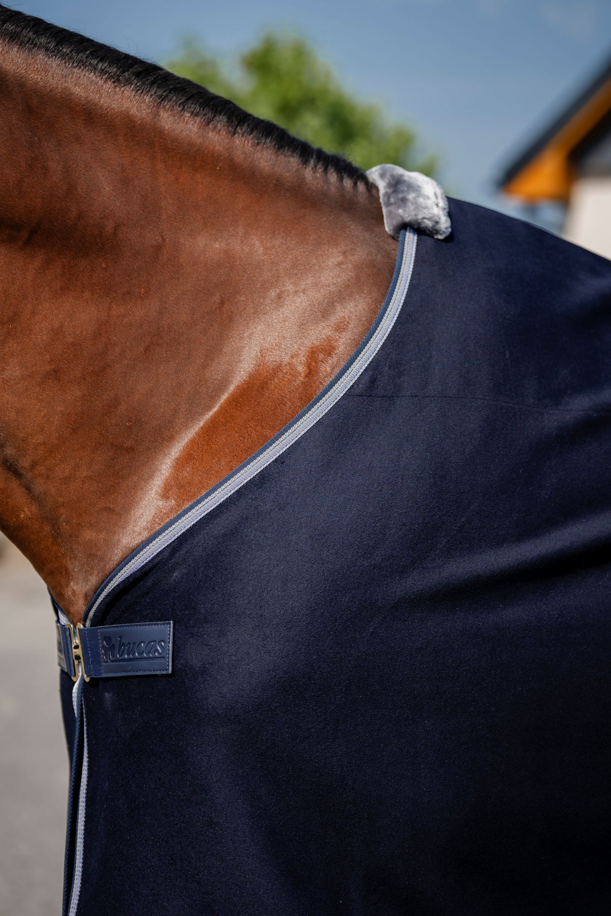 Bucas Emerald Wool-Mix Show Rug - Navy