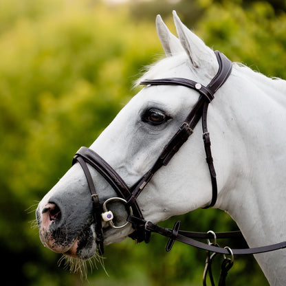 Lumiere Equestrian Milan Snaffle Bridle With Removeable Flash