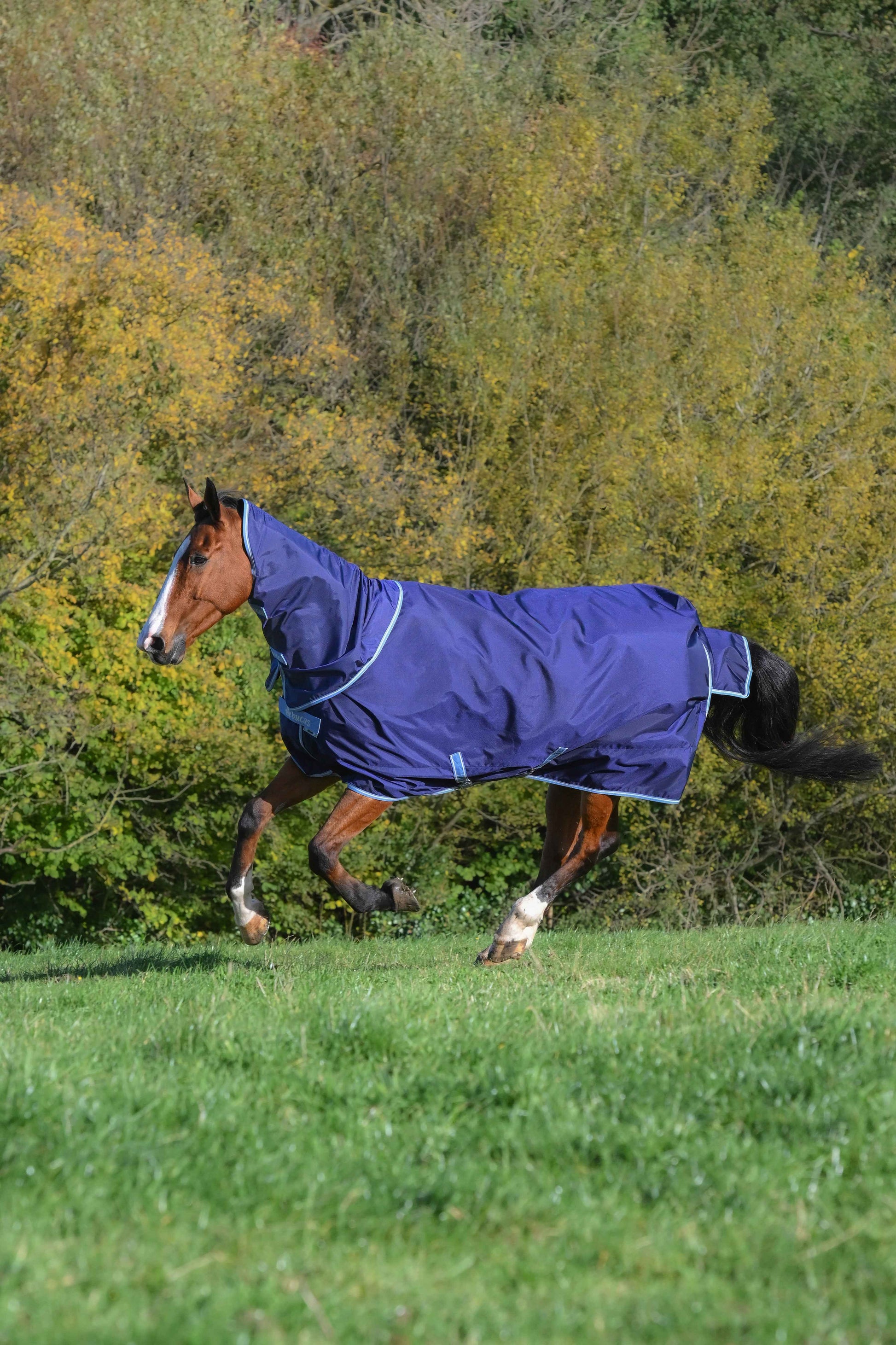 Bucas 0g Atlantic Exclusive Light Turnout Rug with Neck - Navy/Blue