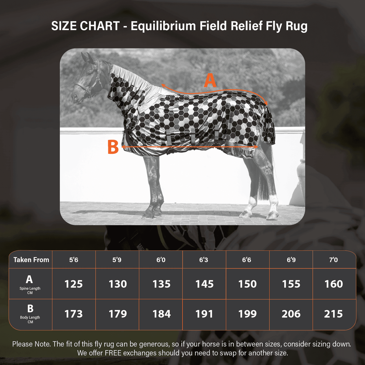 Equilibrium Field Relief Fly Rug - N P Equestrian & Pet Supplies Ltd 