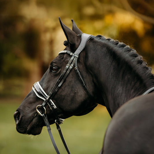 Lumiere Equestrian Adeline Snaffle Bridle With Cavesson Noseband