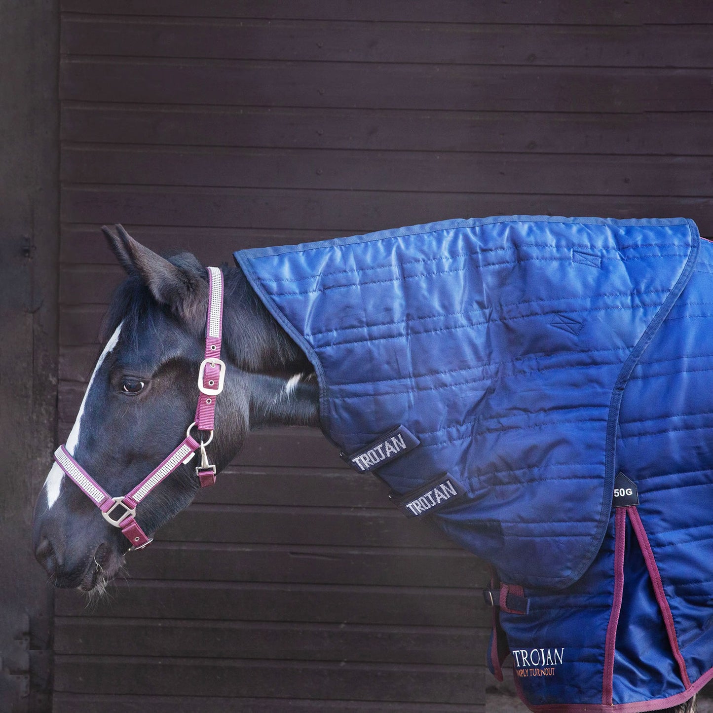 Gallop Trojan 50g Stable Neck Cover Navy
