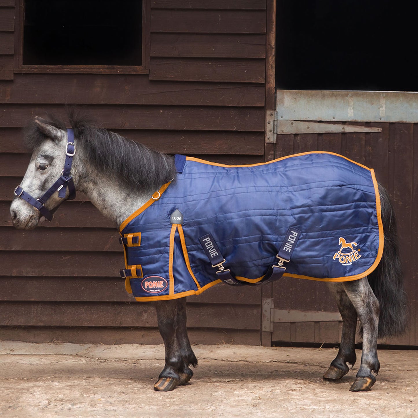 Gallop Ponie 100g Stable Rug Navy