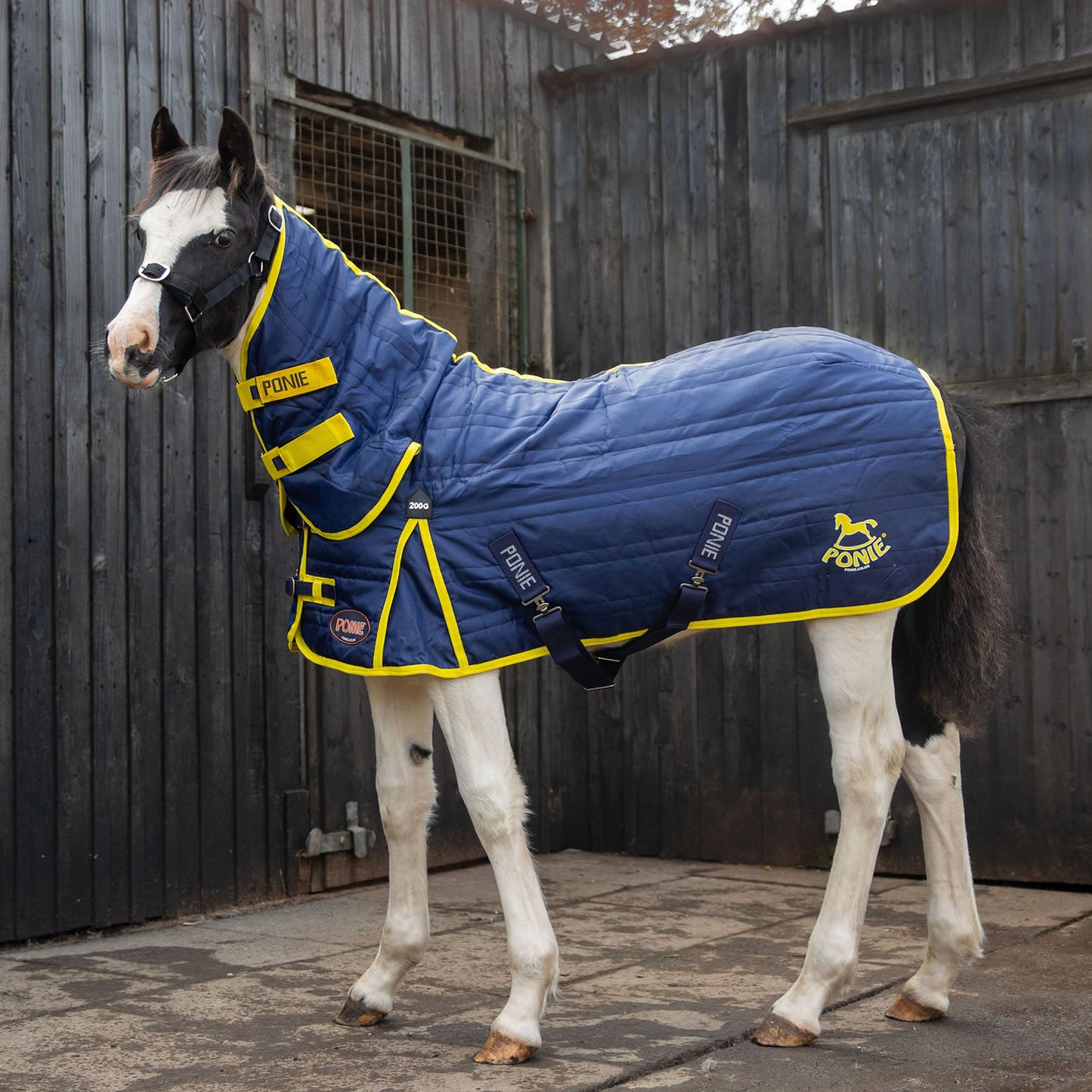 Gallop Ponie 200g Stable Rug Combo - Navy