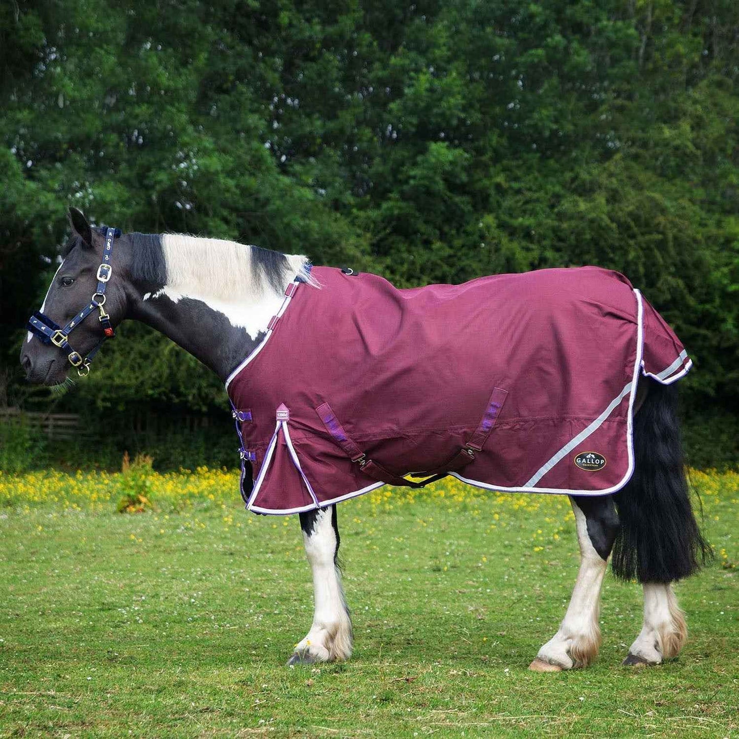 Gallop Trojan Xtra Duraproof 0g Lightweight Turnout Burgundy
