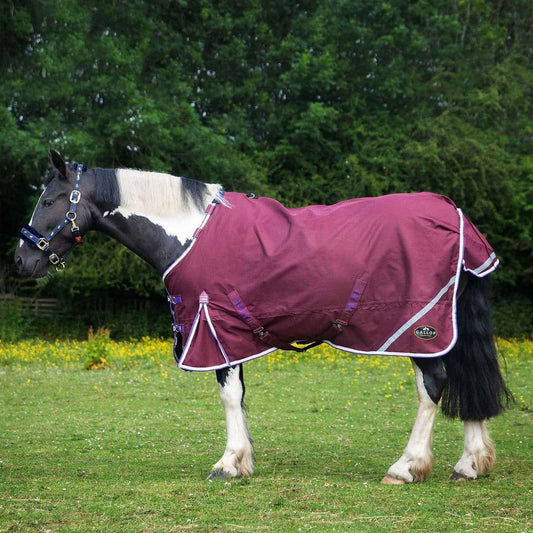 Gallop Trojan Xtra Duraproof 0g Lightweight Turnout Burgundy