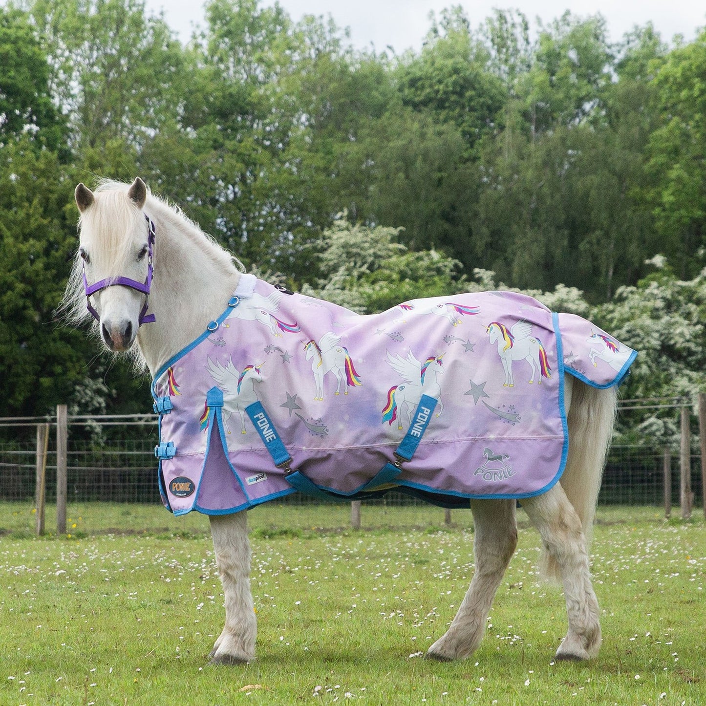 Gallop Ponie Duraproof 0g Lightweight Turnout Rug Pegacorn