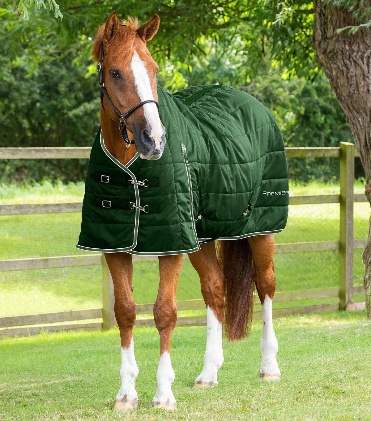 Description:Garissa stable rug 100_colour:green_position:1