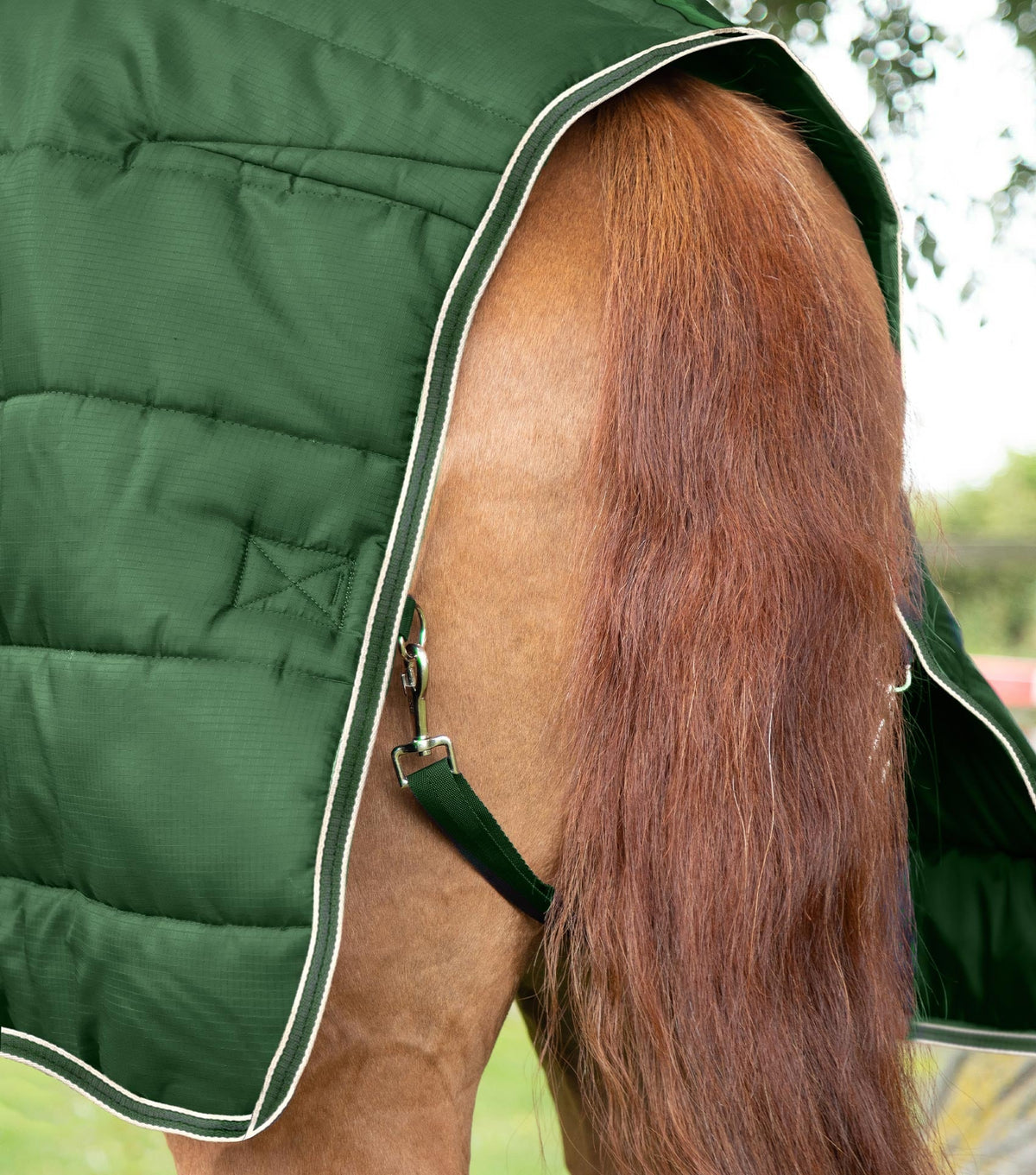 Description:Garissa stable rug 100_colour:green_position:6