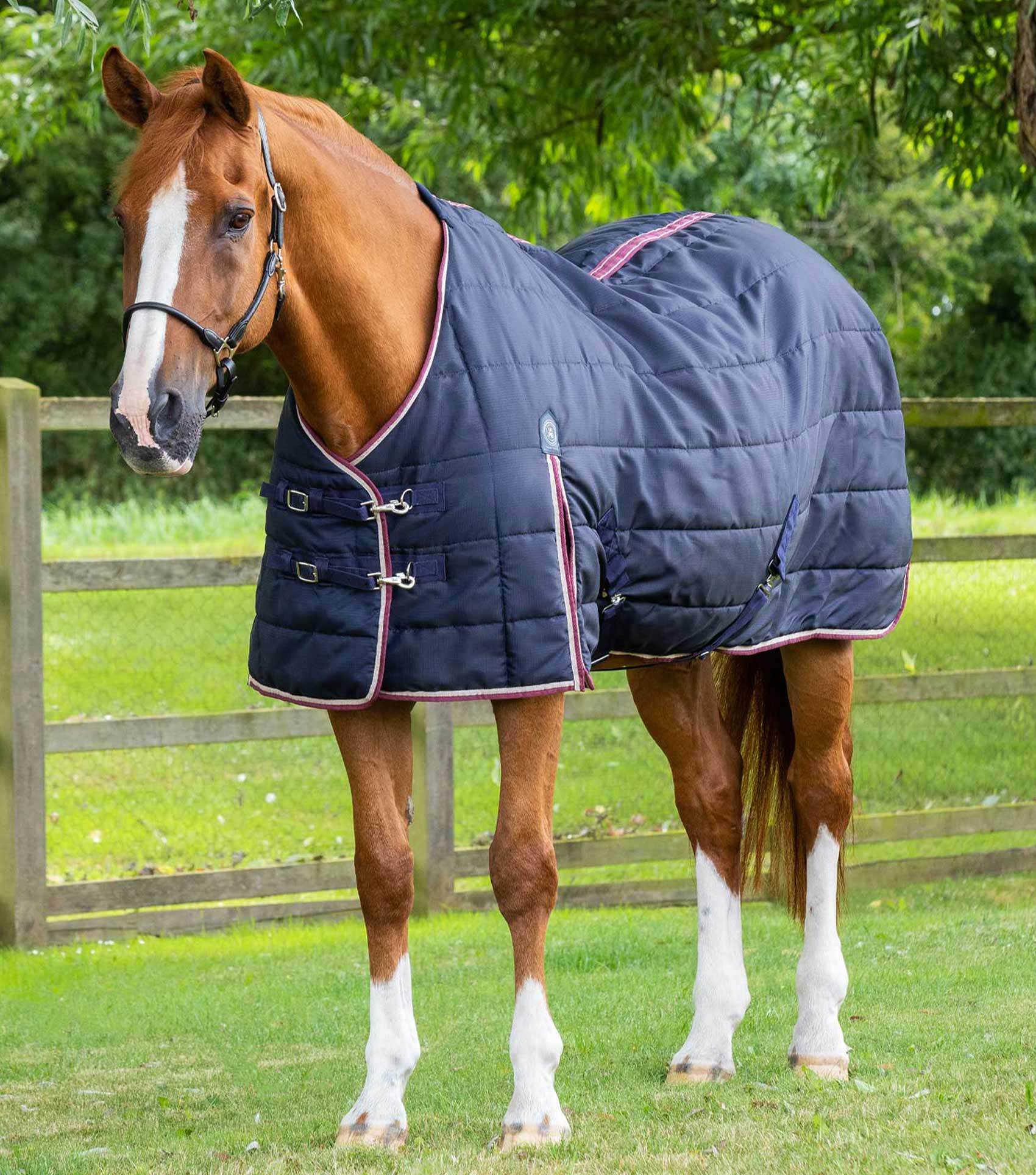Premier Equine Garissa Stable Rug 100g - N P Equestrian & Pet Supplies Ltd 