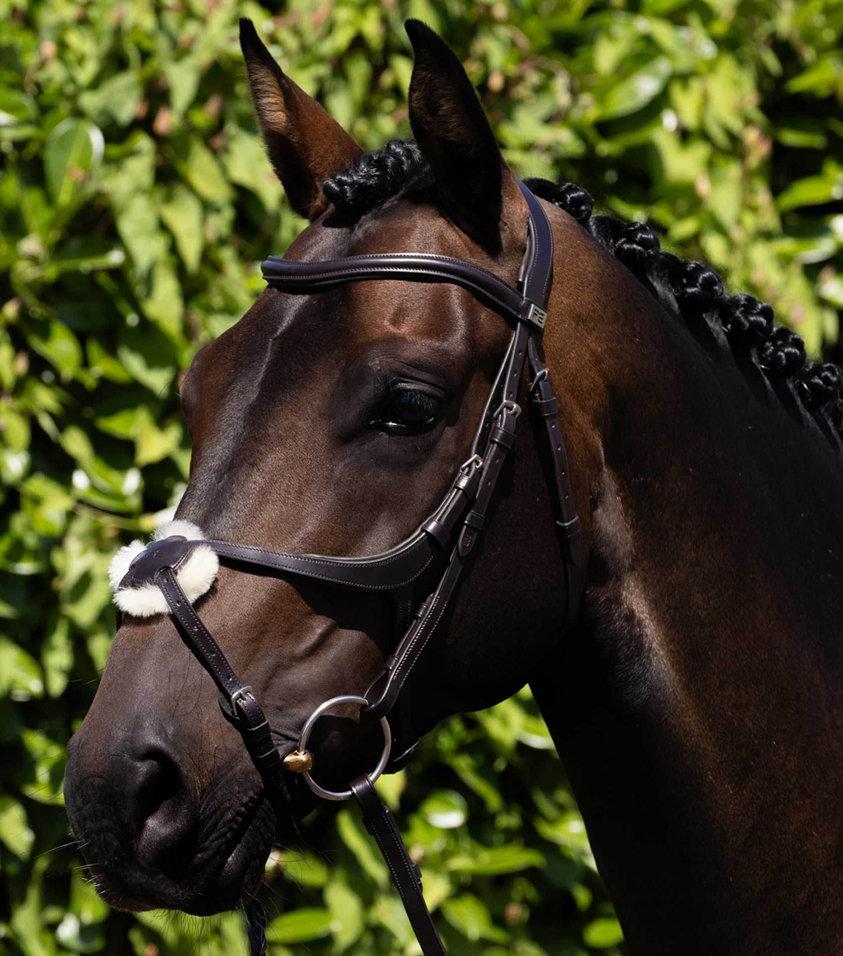 Premier Equine Glorioso Grackle Bridle Brown - N P Equestrian & Pet Supplies Ltd 